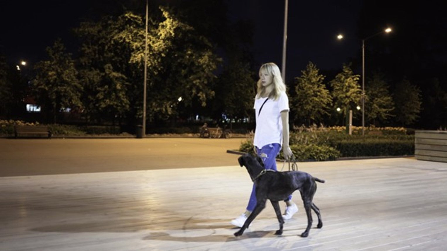 Comment promener son chien la nuit en toute sécurité ? 🔦🐕